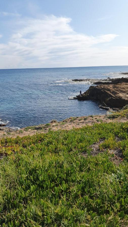 Sunny Apartament Near La Mata Beach Торевиеха Екстериор снимка