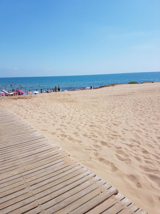 Sunny Apartament Near La Mata Beach Торевиеха Екстериор снимка